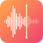 Voice recorder voice memos